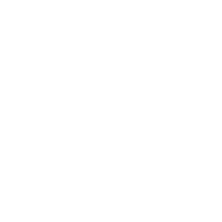 Black Dog