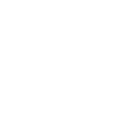 Metallian